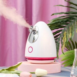 Facial steamer