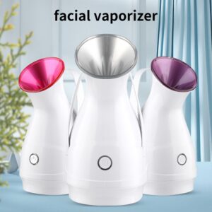 Facial vaporizer
