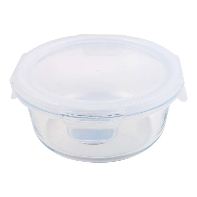 Glass lunch box - max-echo