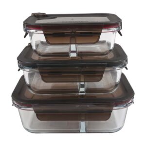 Glass lunch box set